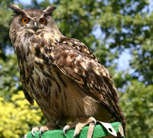 Great New Thought Source Ministry