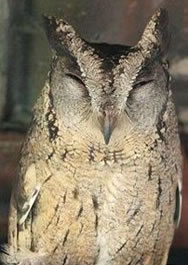 Great New Thought Source Ministry