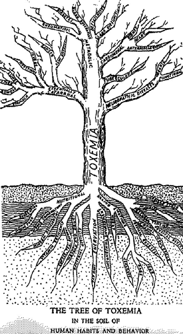 Tree of Toxemia